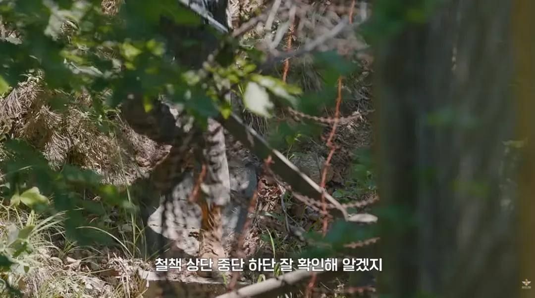 국방부와 맥도날드가 준비한 비밀작전 (8/17)