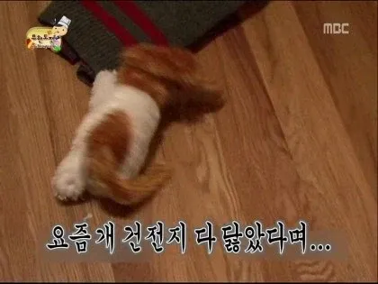 무한도전 짤로 보는 오디세이 영화.jpg (17/19)