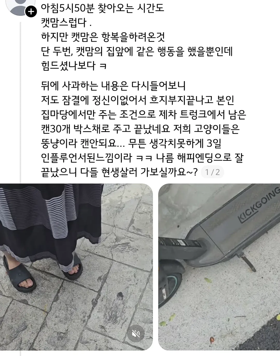 쓰레드에서 핫한 캣맘 퇴치기 (15/15)
