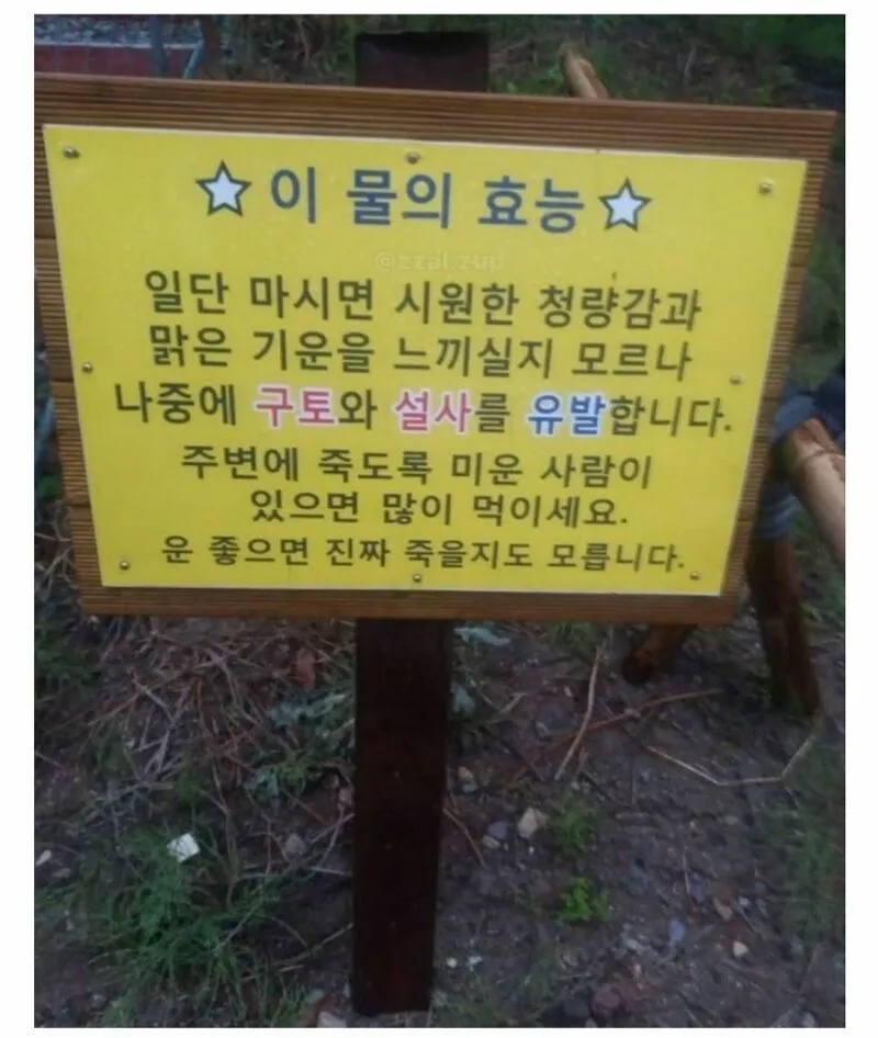 이 물의 효능