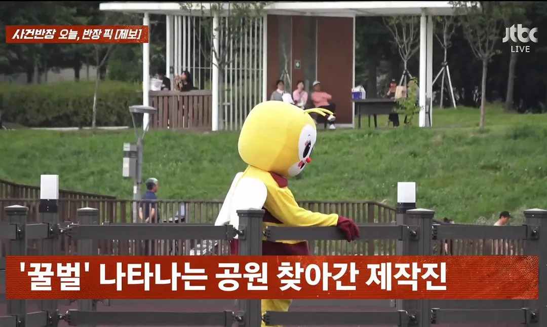 사건반장에 나온 꿀벌 복장 입는 이유 (영상 올렸어) (6/17)