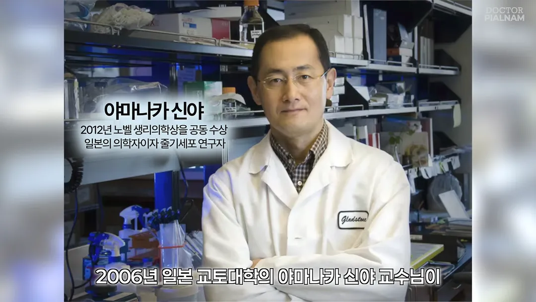 53세 피부를 23세 피부로 돌리는데 성공함 - 英연구팀 (6/14)