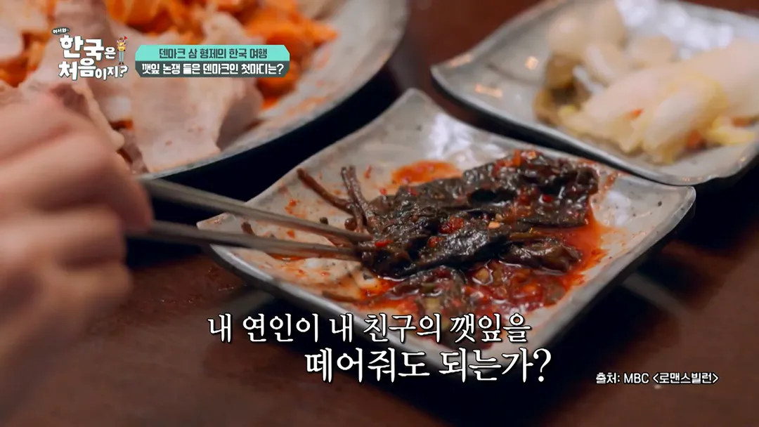 덴마크 사람이 느껴본 깻잎 논쟁 (10/20)