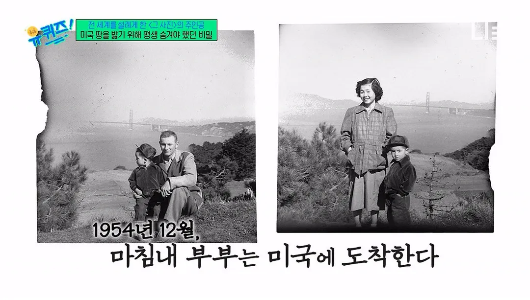유퀴즈) 낭만 그 자체인 6.25 전쟁 속 러브 스토리 (18/20)