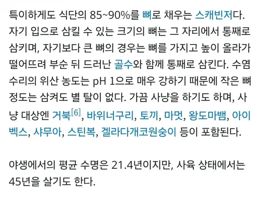 커다란 뼈를 통째로 삼켜도 멀쩡하다는 동물.mp4 (3/3)