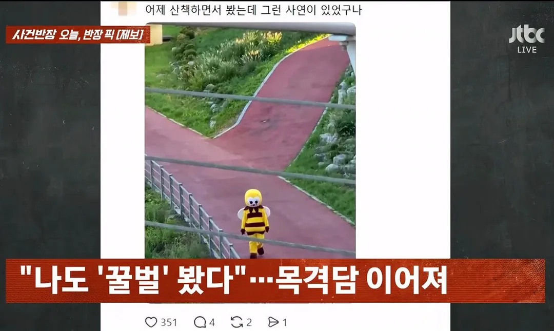 사건반장에 나온 꿀벌 복장 입는 이유 (영상 올렸어) (3/17)