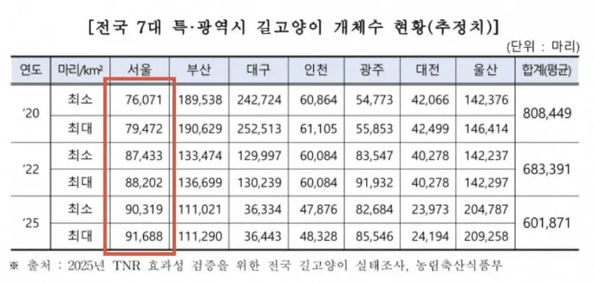 대구 고양이들에게 대체 무슨 일이? ㄷㄷㄷ (4/6)