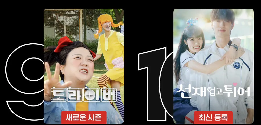넷플릭스 글로벌 1위 먹기가 힘든 이유.jpg (5/7)