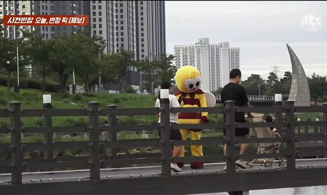 사건반장에 나온 꿀벌 복장 입는 이유 (영상 올렸어) (8/17)