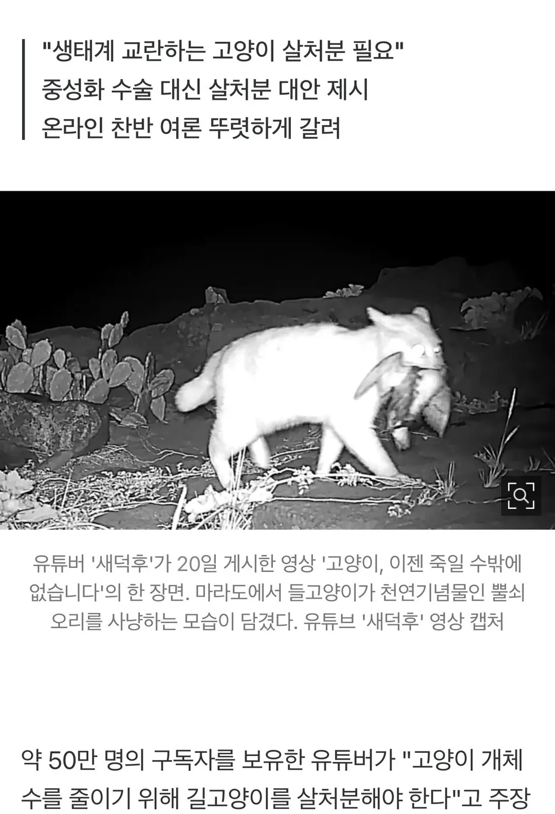 유튜버 새덕후 근황 (4/4)