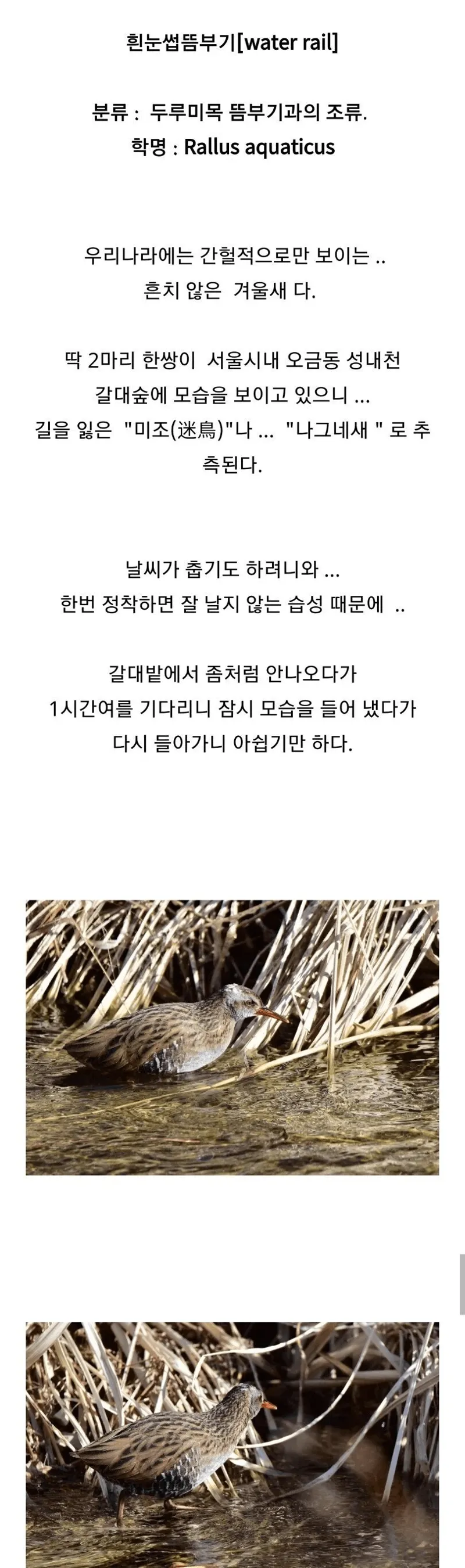 조류 동호회 회원들이 망연자실한 이유.jpg (1/3)
