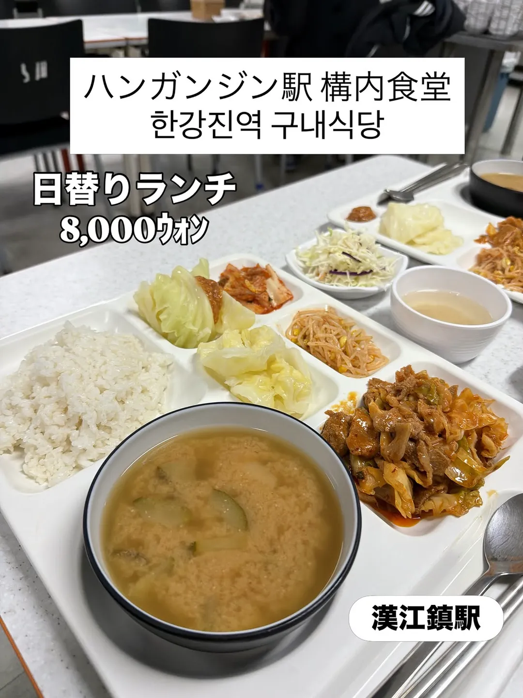 한국에서 특이한 여행을 하는 일본인.jpg (4/15)