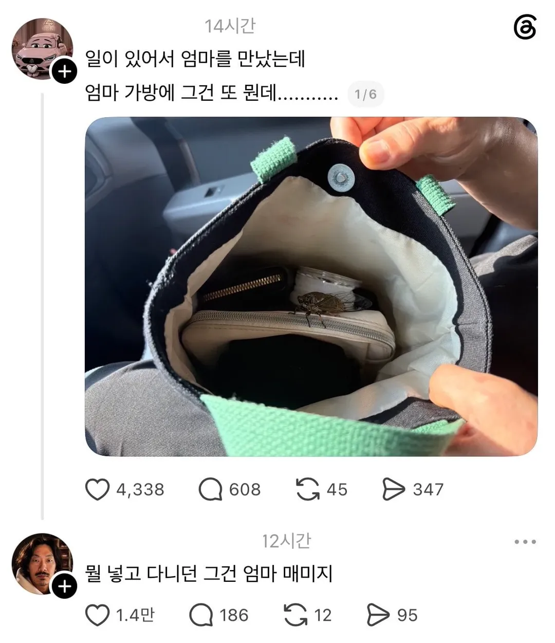 엄마 가방에서 매미가 나왔을 때 하는 말 (2/2)