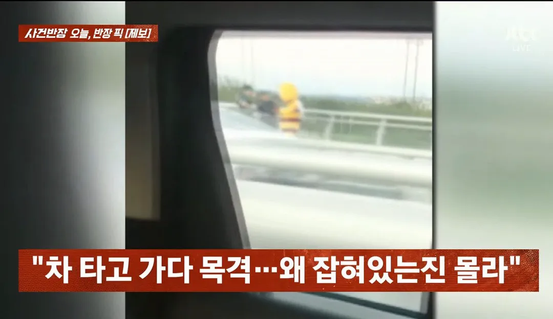 사건반장에 나온 꿀벌 복장 입는 이유 (영상 올렸어) (2/17)