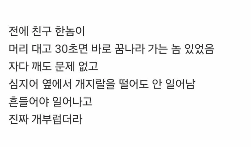 누우면 바로 잠드는 사람 개부럽다 (2/2)
