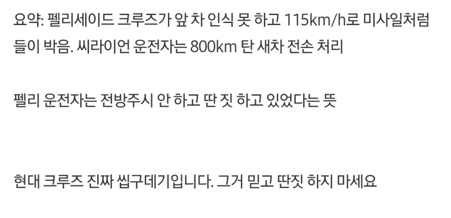 씨라이언 vs 펠리세이드 추돌 사고 (6/6)