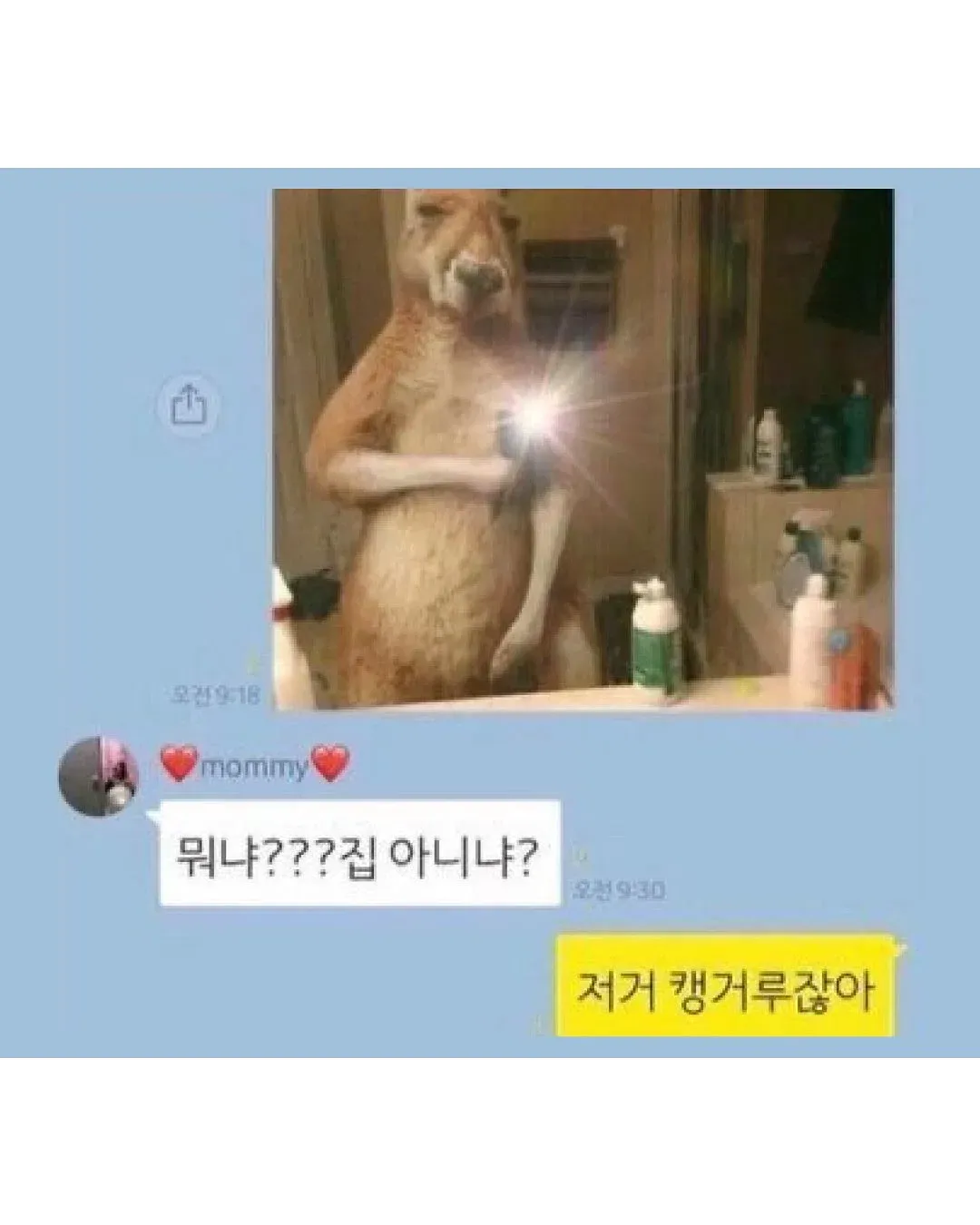 엄마 운전하다 문자보낸거 개웃기지 ㅋㅋㅋ (12/20)