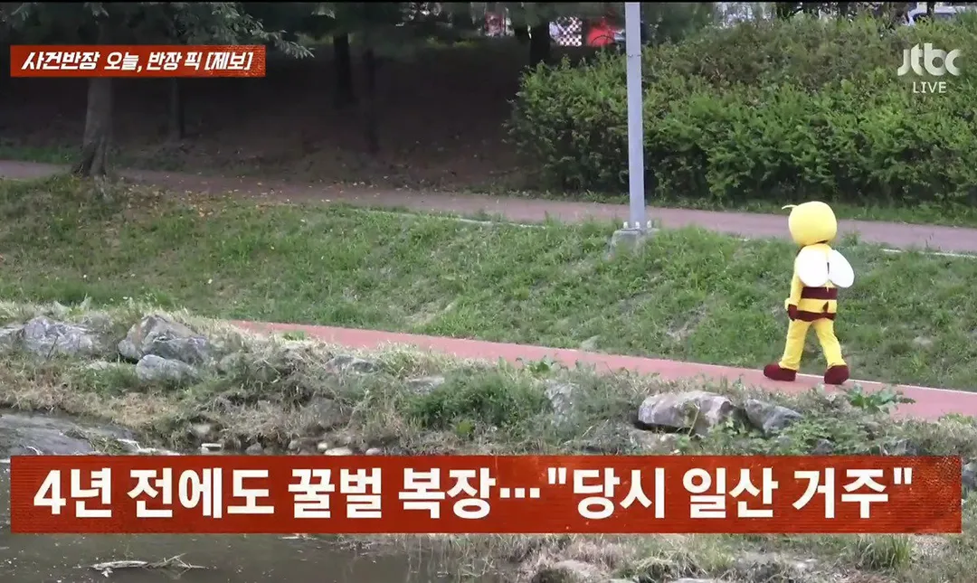 사건반장에 나온 꿀벌 복장 입는 이유 (영상 올렸어) (14/17)