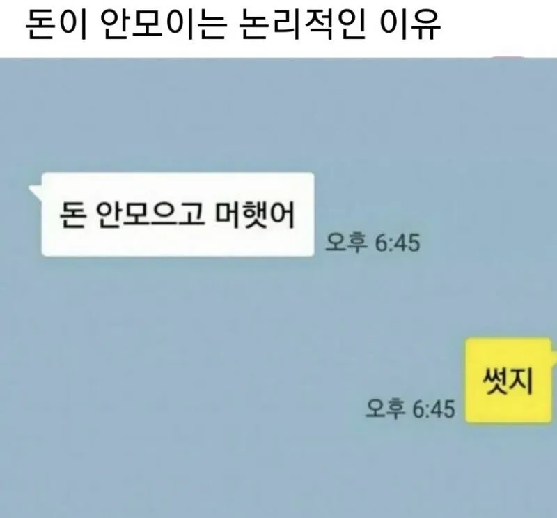 강아지한테 어디 아프냐고 물어보면.jpg (9/20)