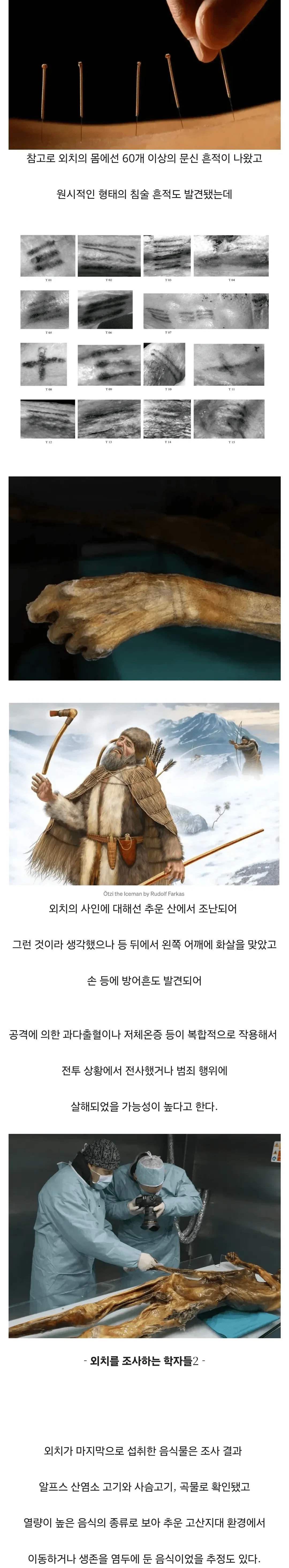 싱글벙글 얼음 속에서 5000년 넘게 잠들어 있던 미라 이야기 (4/7)