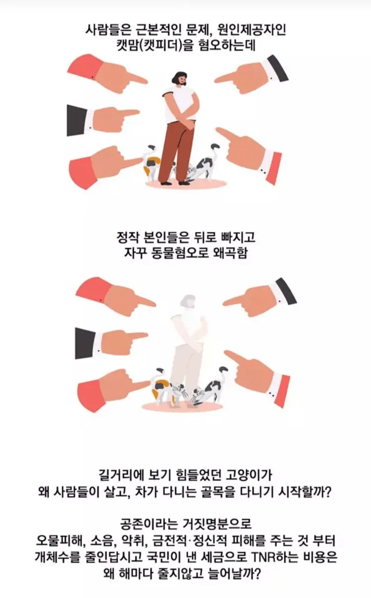 너네들 고양이밥 어디까지 줘봤어? (3/3)