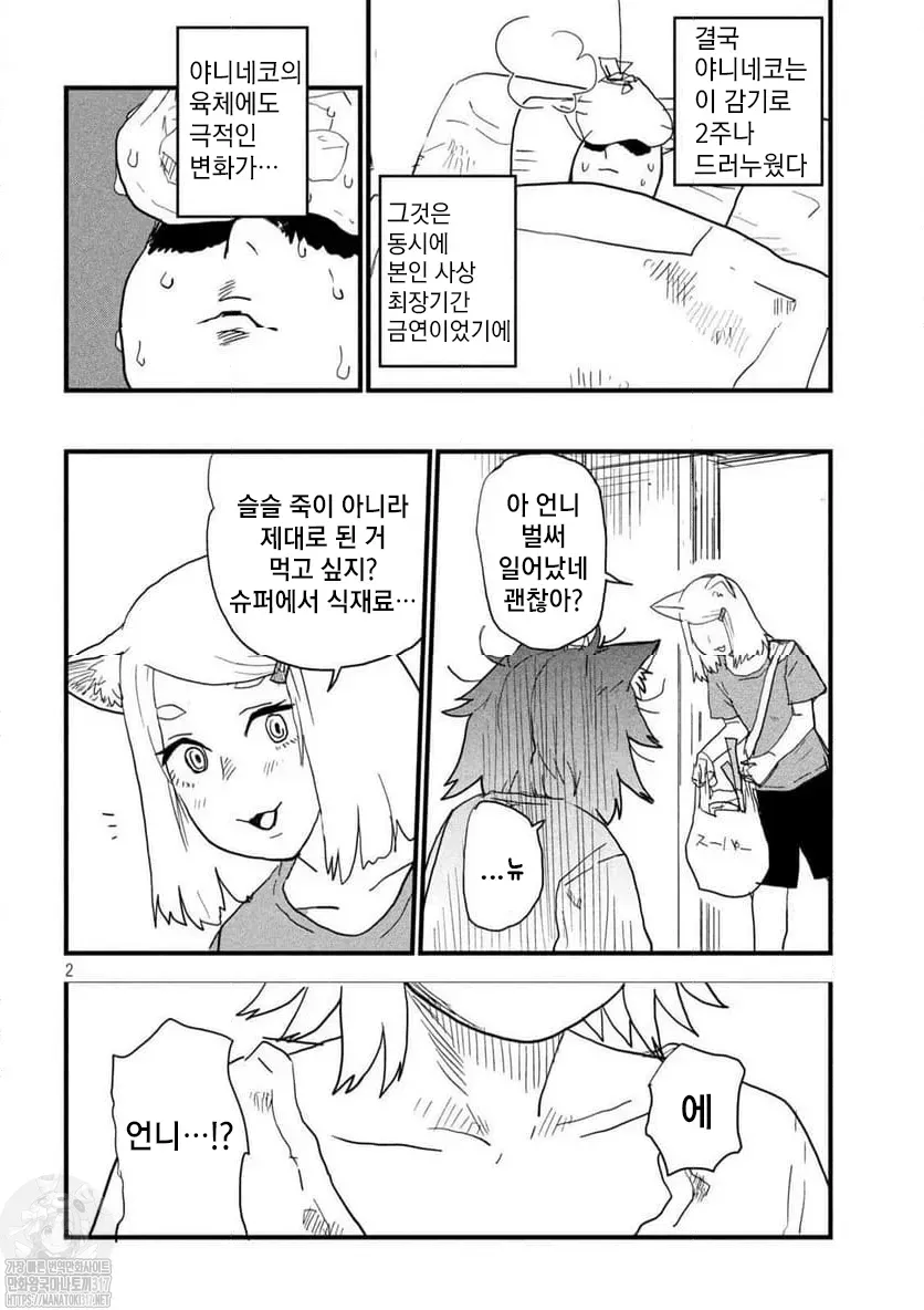 야니네코의 비밀 (4/6)