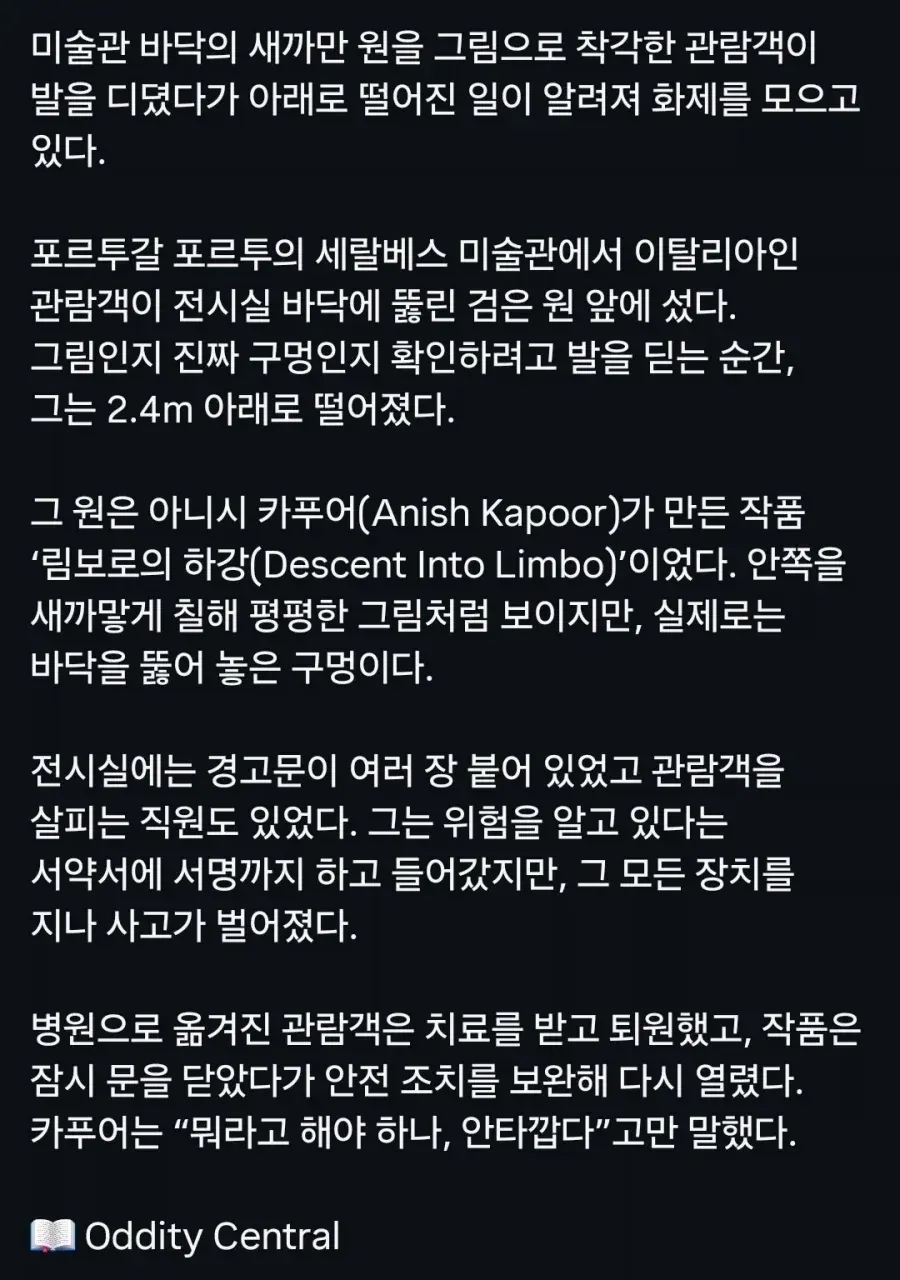 그림인 줄 알고 밟은 관광객, 그대로 2.4m 추락 (4/4)