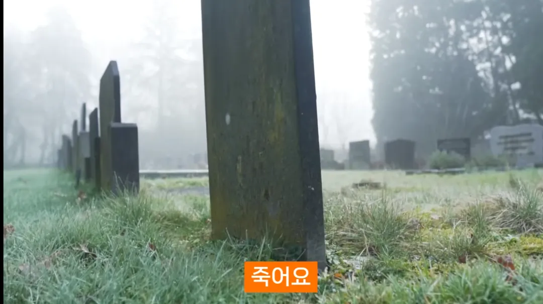 진화론을 믿지 않는 박진영 (5/14)