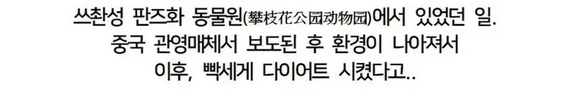 싱글벙글 중국 동물원 대참사.jpg (6/6)