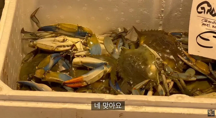이탈리아에서 난리났다는 청게(블루크랩) 가격.jpg (11/20)