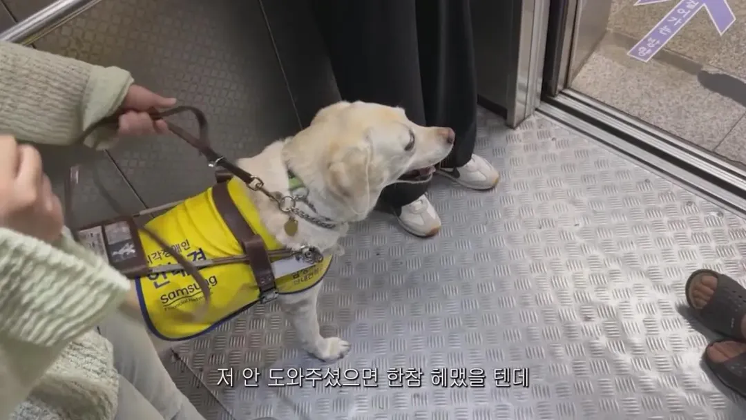 동생들에게 떡볶이 사주려 직접 사러간 시각장애인 (20/20)