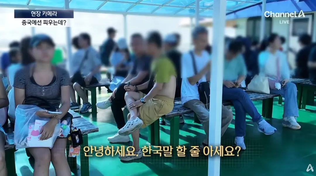중국인 관광객들 때문에 스트레스라는 제주도 우도 (3/20)