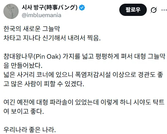 한국의 새로운 그늘막 (3/3)