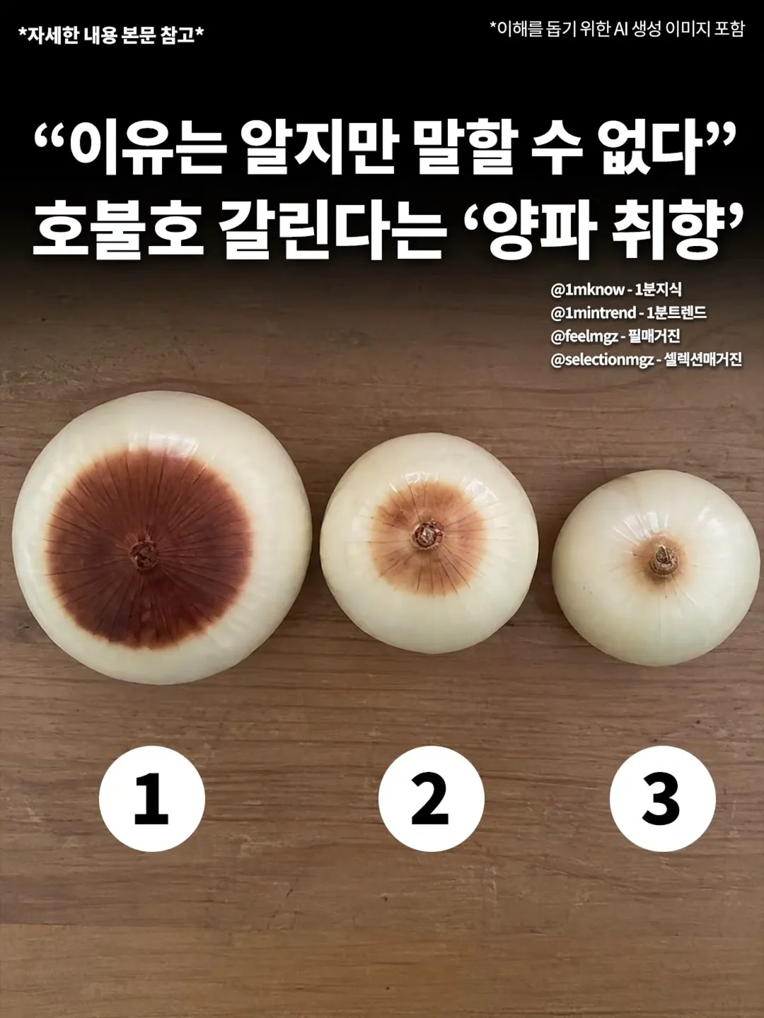 이유는 말할수없지만 호불호 갈린다는 양파취향 (2/2)