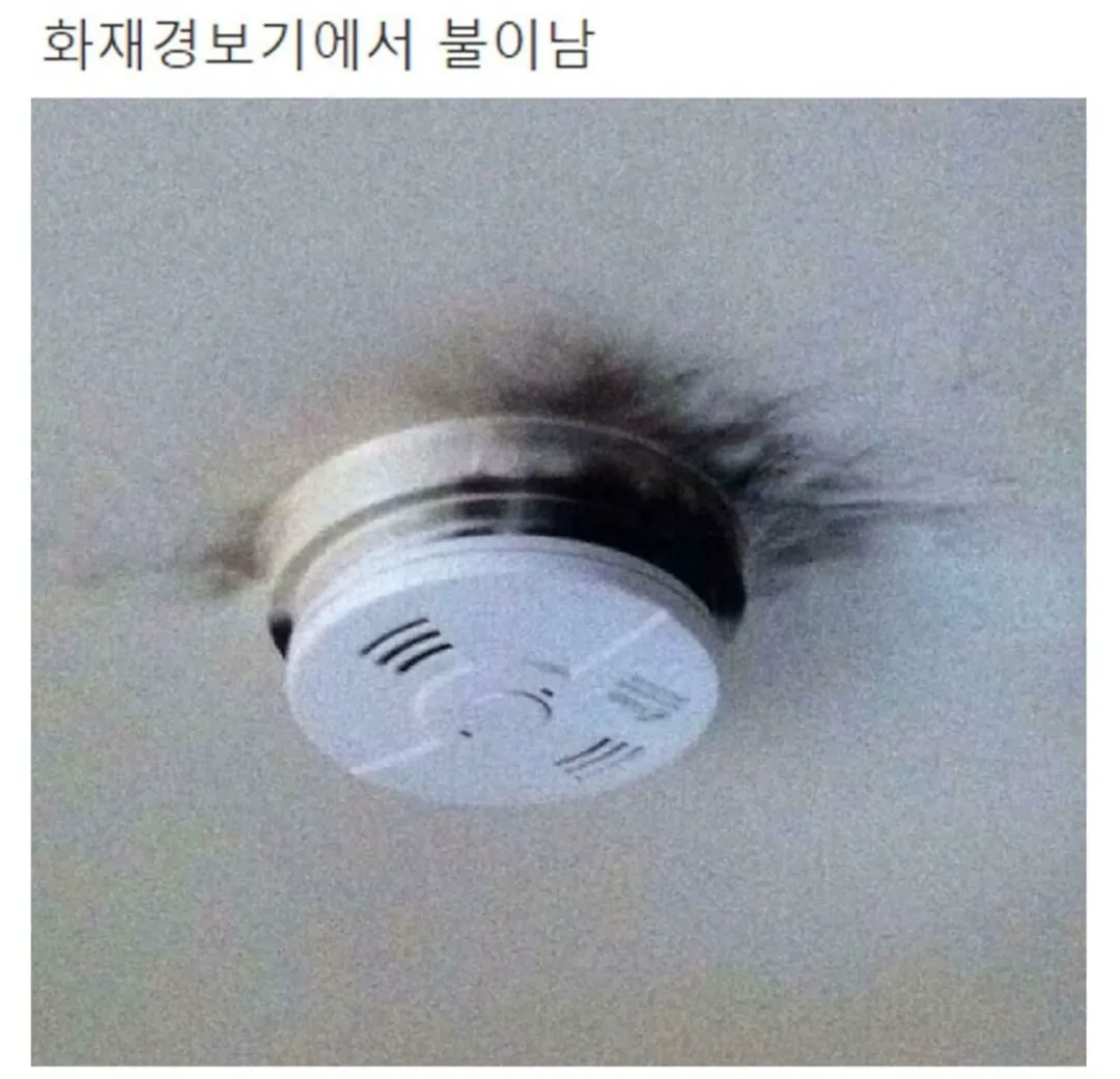천하제일 망한 집 대회 (9/9)