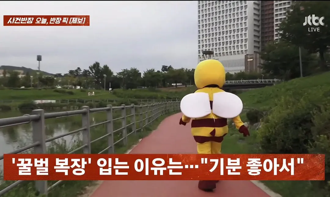 사건반장에 나온 꿀벌 복장 입는 이유 (영상 올렸어) (12/17)