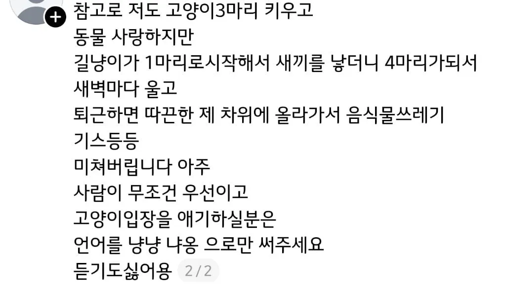 쓰레드에서 핫한 캣맘 퇴치기 (3/15)