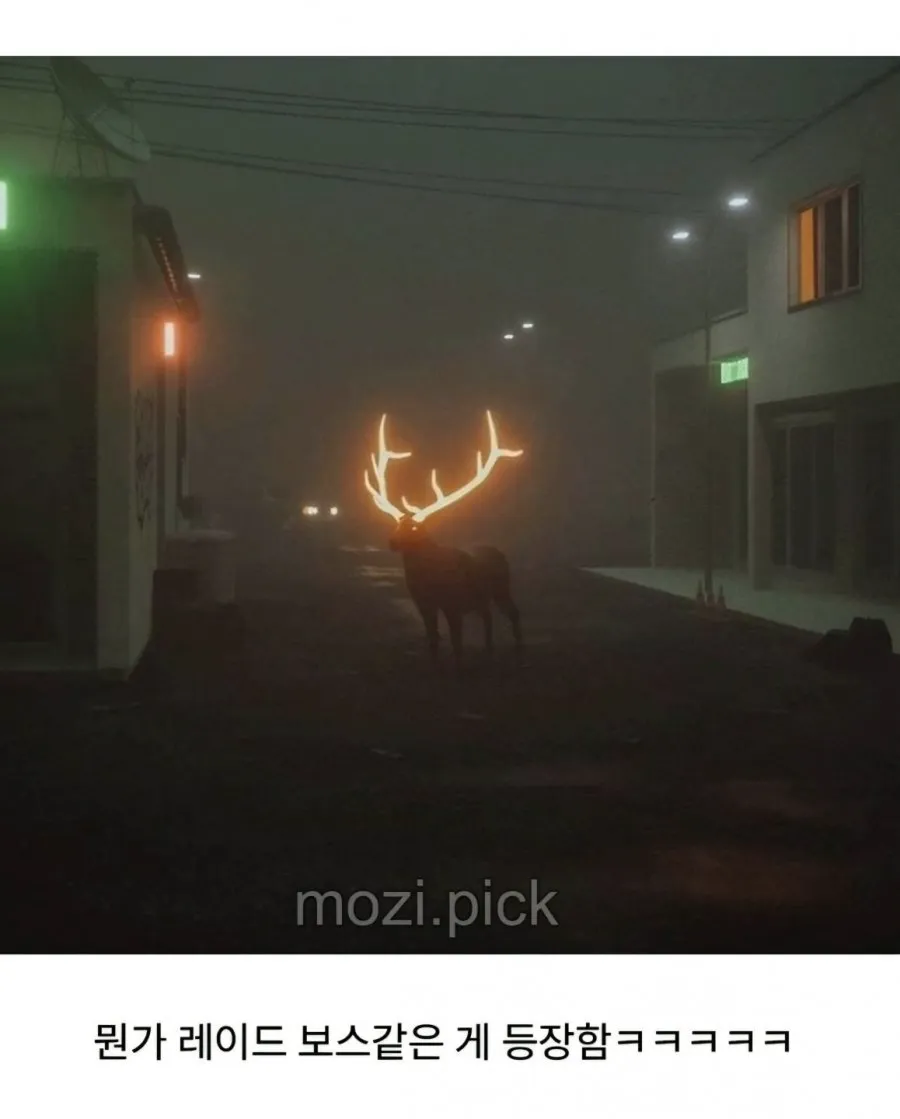 핀란드의 교통사고방지 대책.jpg (2/2)