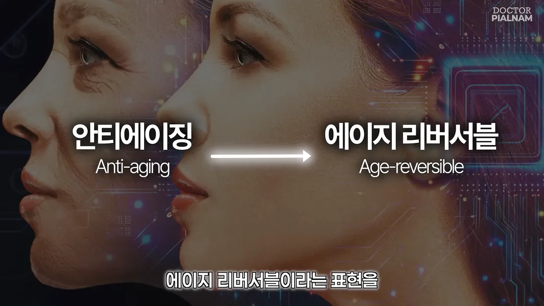 53세 피부를 23세 피부로 돌리는데 성공함 - 英연구팀 (14/14)