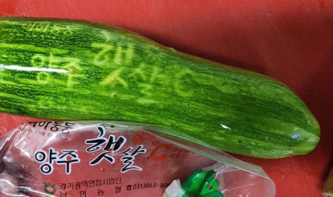 도대체 양주 햇살이 얼마나 뜨거웠던건지 감도 안잡힘 (2/3)