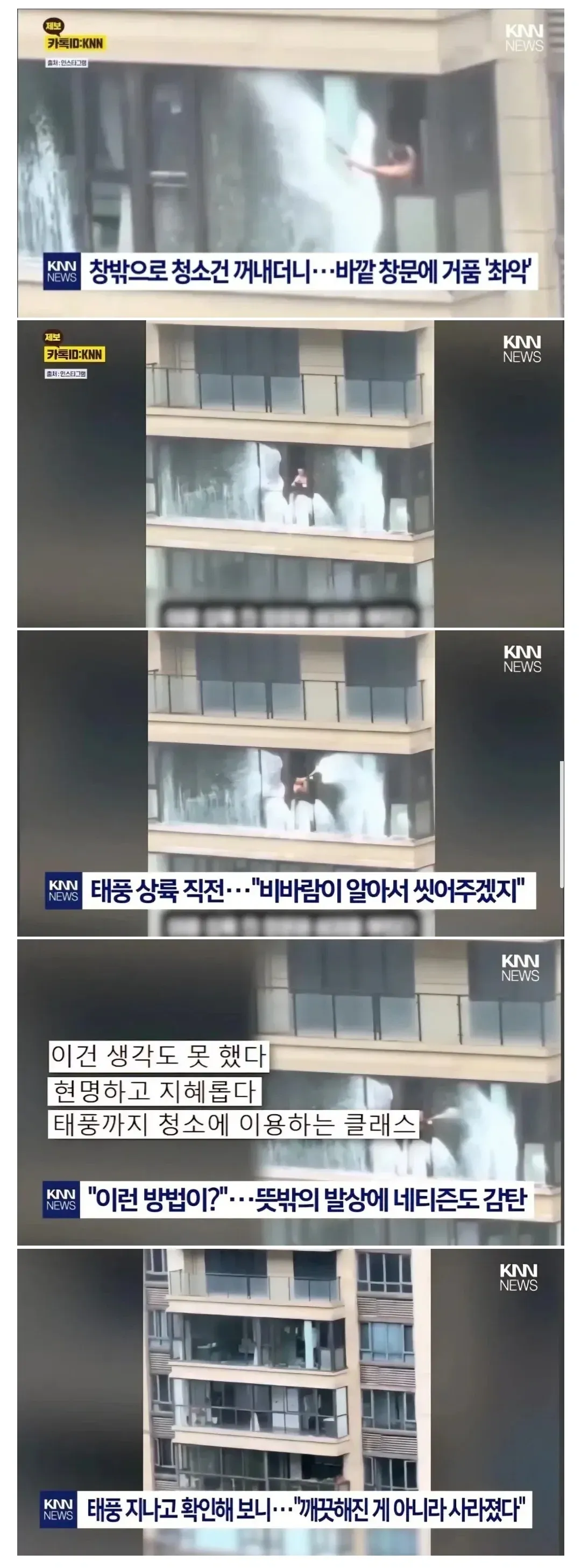태풍이 창문 닦아줄거라 믿었던 청년의 결말