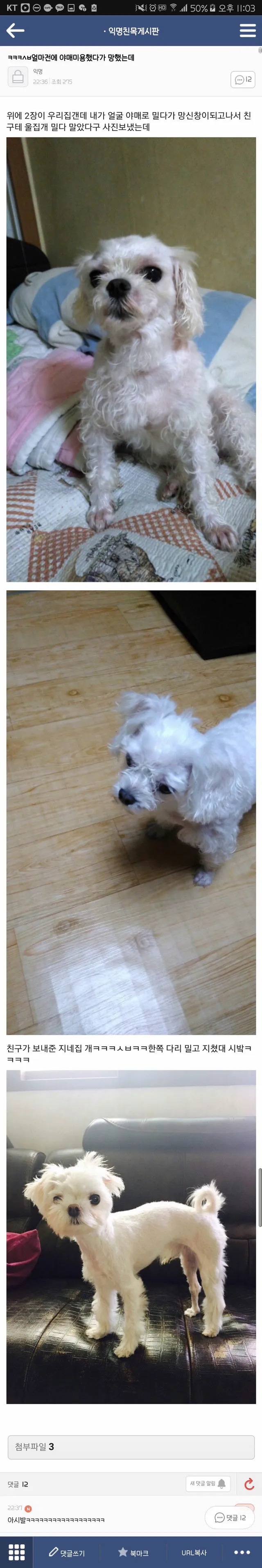나 오늘 동성로 한가운데에서 대자로 넘어졌어.. (13/20)