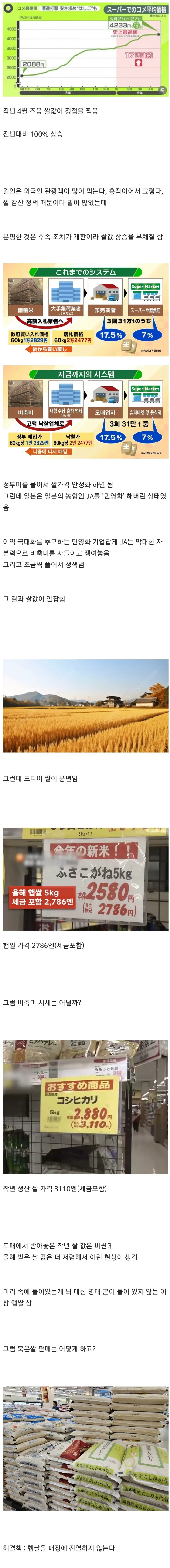쌀값 폭등 문제가 해결된 일본 근황