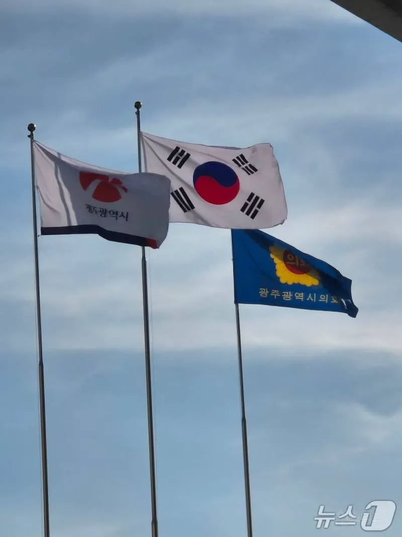 🫪심각한 수준을 넘어 기괴한 수준인 태극기 사태 (8/12)