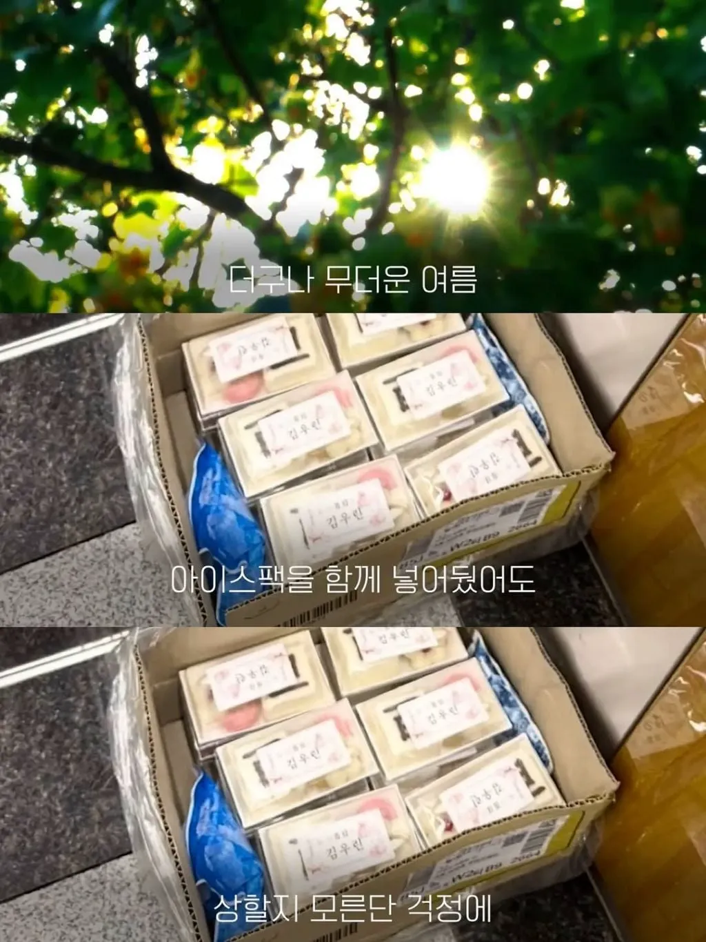 엘베에 100일떡 두었더니 이웃들의 반응... (5/16)