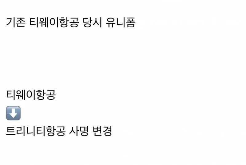 현재 반응갈리는 티웨이항공 새 유니폼..JPG (4/11)