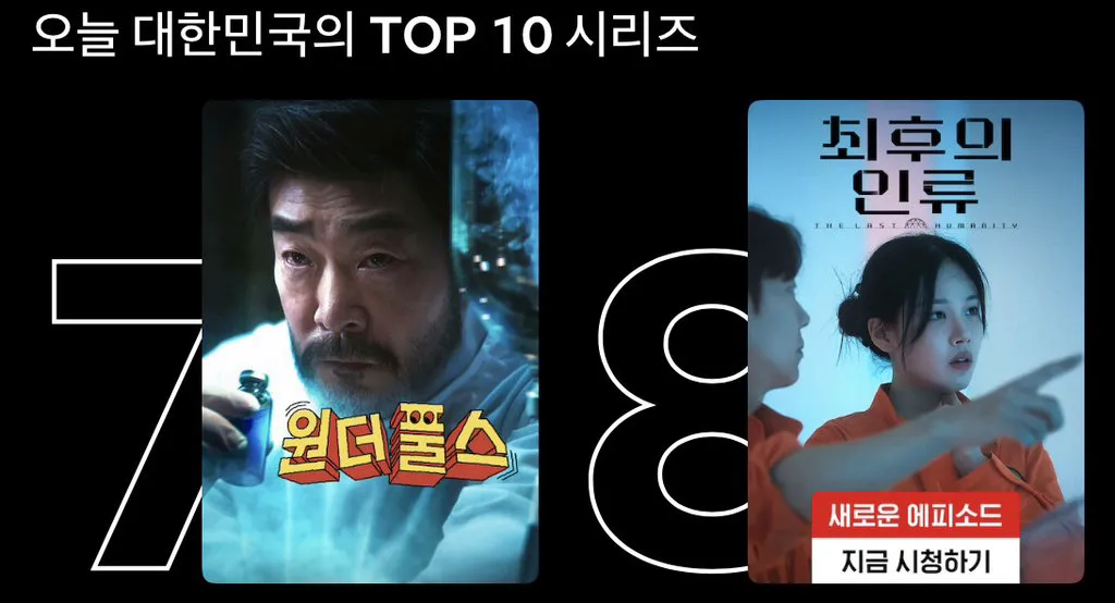 넷플릭스 글로벌 1위 먹기가 힘든 이유.jpg (4/7)