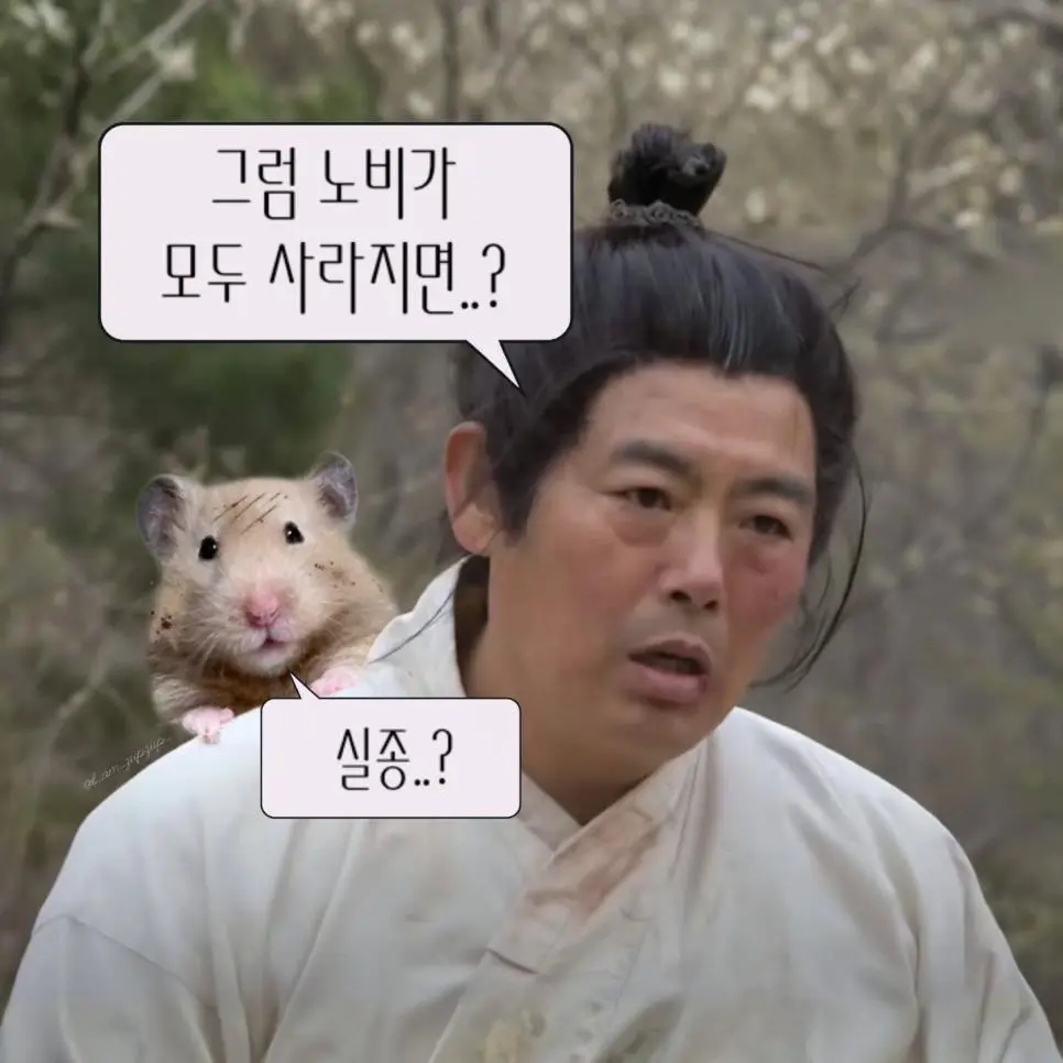 노비가 하늘을 날면? (7/13)