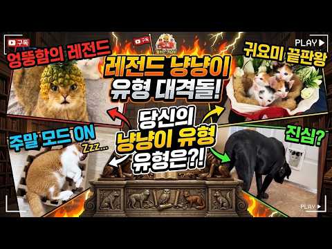 힐링 가득 세상 귀여운 고양이 레전드 모음