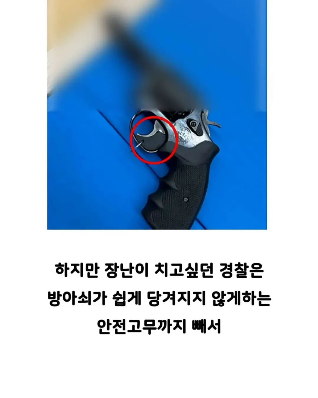 자기 빼고 빵 먹었다고, 의경에 총 쏜 경찰 (5/13)